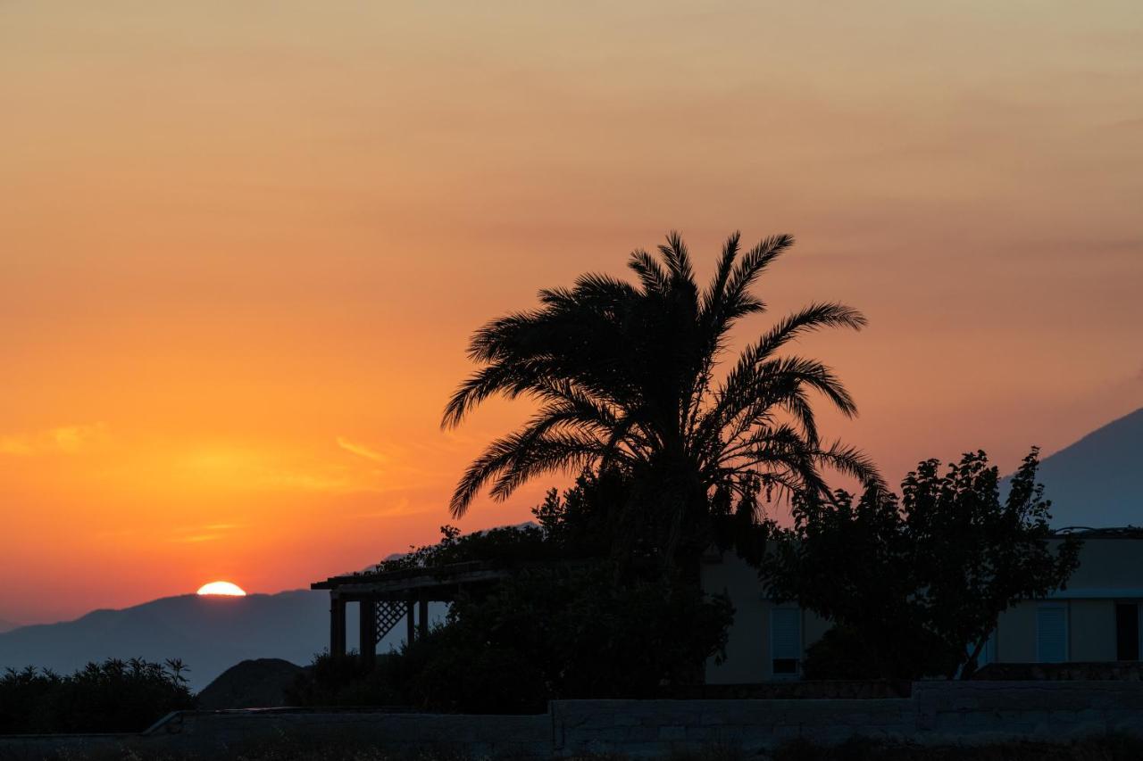 Margarita Apartments Ierápetra エクステリア 写真